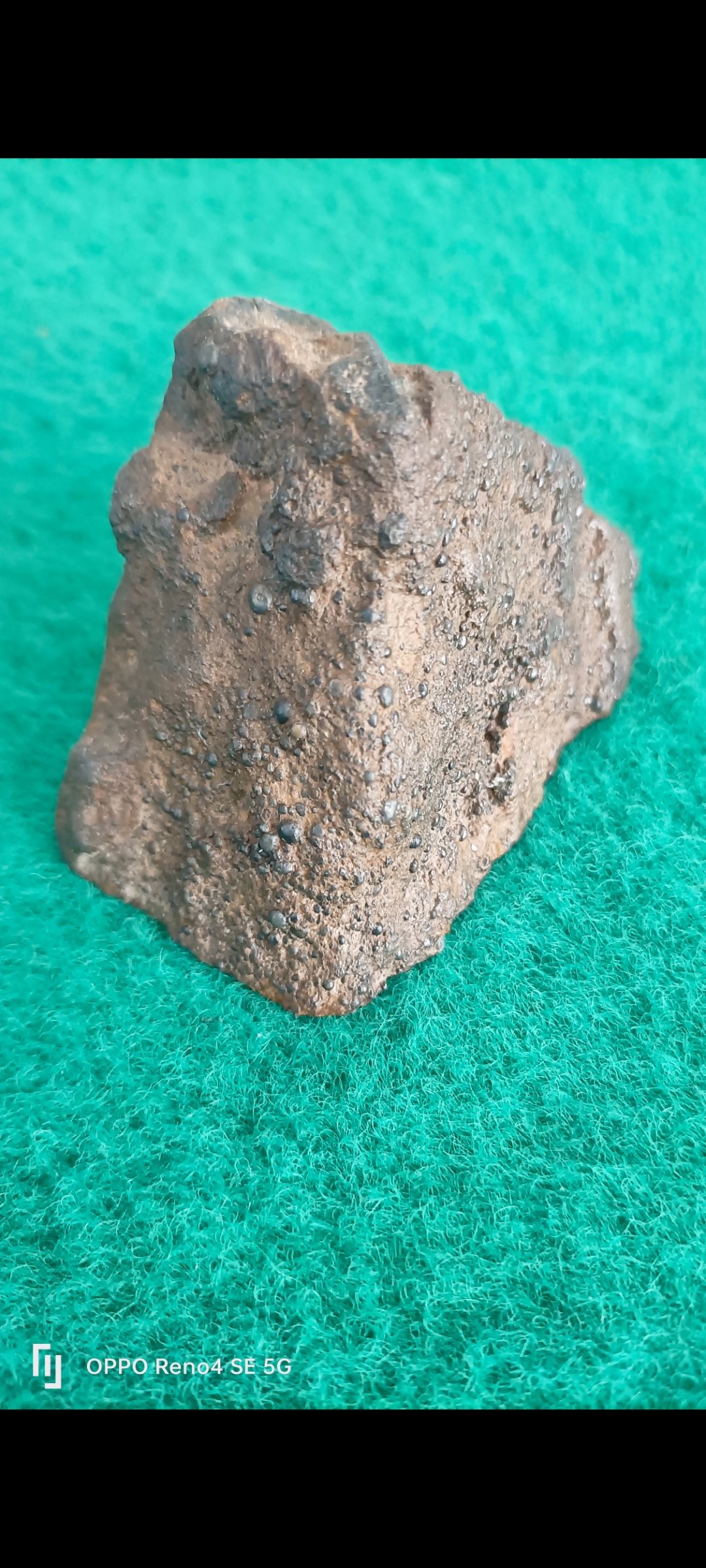 爱游戏-頻>XV陨(bib视频下载)